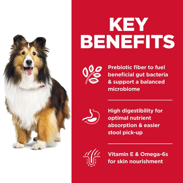 Hill's Science Diet Adult Sensitive Stomach & Skin Chicken Recipe Dry Dog Food 5 Hill's Science Diet Adult Sensitive Stomach & Skin Chicken Recipe Dry Dog Food - Image 5