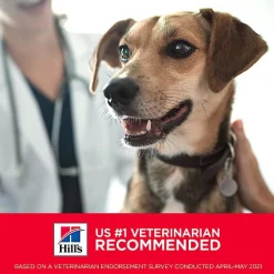 Hill's Science Diet Adult Sensitive Stomach & Skin Chicken Recipe Dry Dog Food 14 Hill's Science Diet Adult Sensitive Stomach & Skin Chicken Recipe Dry Dog Food -Science Diet || Exotic Nutrition Sales 92466 PT5. SY630 V1635190578