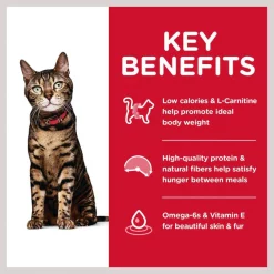 Hill's Science Diet Adult Light Chicken Recipe Dry Cat Food -Science Diet || Exotic Nutrition Sales 93923 PT3. SY630 V1598151357