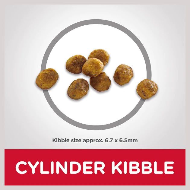 Hill's Science Diet Adult 7+ Chicken Recipe Dry Cat Food 6 Hill's Science Diet Adult 7+ Chicken Recipe Dry Cat Food - Image 6