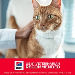 Hill's Science Diet Adult Chicken Recipe Dry Cat Food -Science Diet || Exotic Nutrition Sales 93925 PT5. SY630 V1634575573