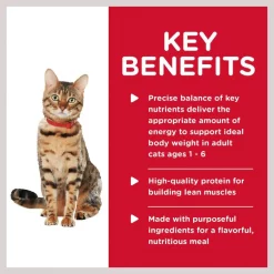 Hill's Science Diet Adult Healthy Cuisine Poached Salmon & Spinach Medley Canned Cat Food -Science Diet || Exotic Nutrition Sales 94020 PT3. SY630 V1598143295