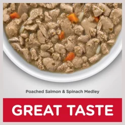 Hill's Science Diet Adult Healthy Cuisine Poached Salmon & Spinach Medley Canned Cat Food -Science Diet || Exotic Nutrition Sales 94020 PT5. SY630 V1598149599