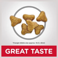 Hill's Science Diet Adult Multiple Benefit Chicken Recipe Dry Cat Food -Science Diet || Exotic Nutrition Sales 96120 PT5. SY630 V1598150485