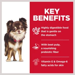 Hill's Science Diet Adult Sensitive Stomach & Skin Small & Mini Breed Chicken Recipe Dry Dog Food -Science Diet || Exotic Nutrition Sales 96152 PT5. SY630 V1612828574